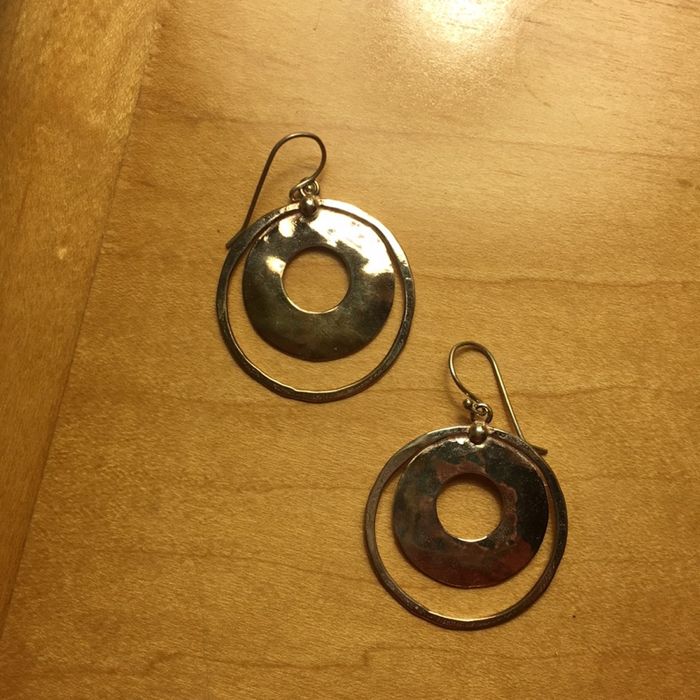 Large Circular Earrings - image 1